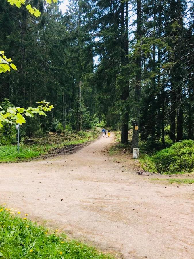 Haus Jenni Im Schwarzwald, 3,5-Zimmer, Grosse Terrasse Freudenstadt Kültér fotó