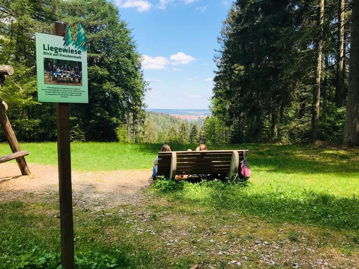 Haus Jenni Im Schwarzwald, 3,5-Zimmer, Grosse Terrasse Freudenstadt Kültér fotó