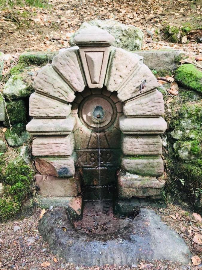 Haus Jenni Im Schwarzwald, 3,5-Zimmer, Grosse Terrasse Freudenstadt Kültér fotó