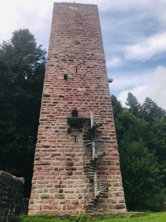 Haus Jenni Im Schwarzwald, 3,5-Zimmer, Grosse Terrasse Freudenstadt Kültér fotó