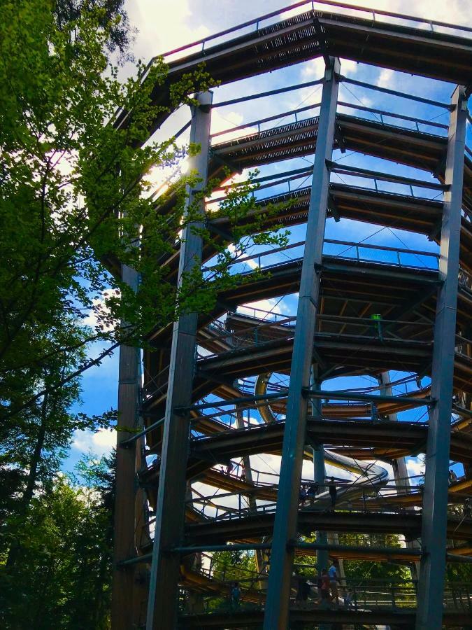 Haus Jenni Im Schwarzwald, 3,5-Zimmer, Grosse Terrasse Freudenstadt Kültér fotó